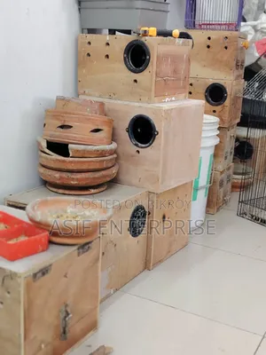 কোকটেল ও লাভ বার্ড এর ব্রিডিং বক্স