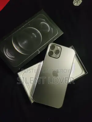 অ্যাপল আইফোন ১২ প্রো ম্যাক্স ১২৮ জিবি গ্রাফাইট