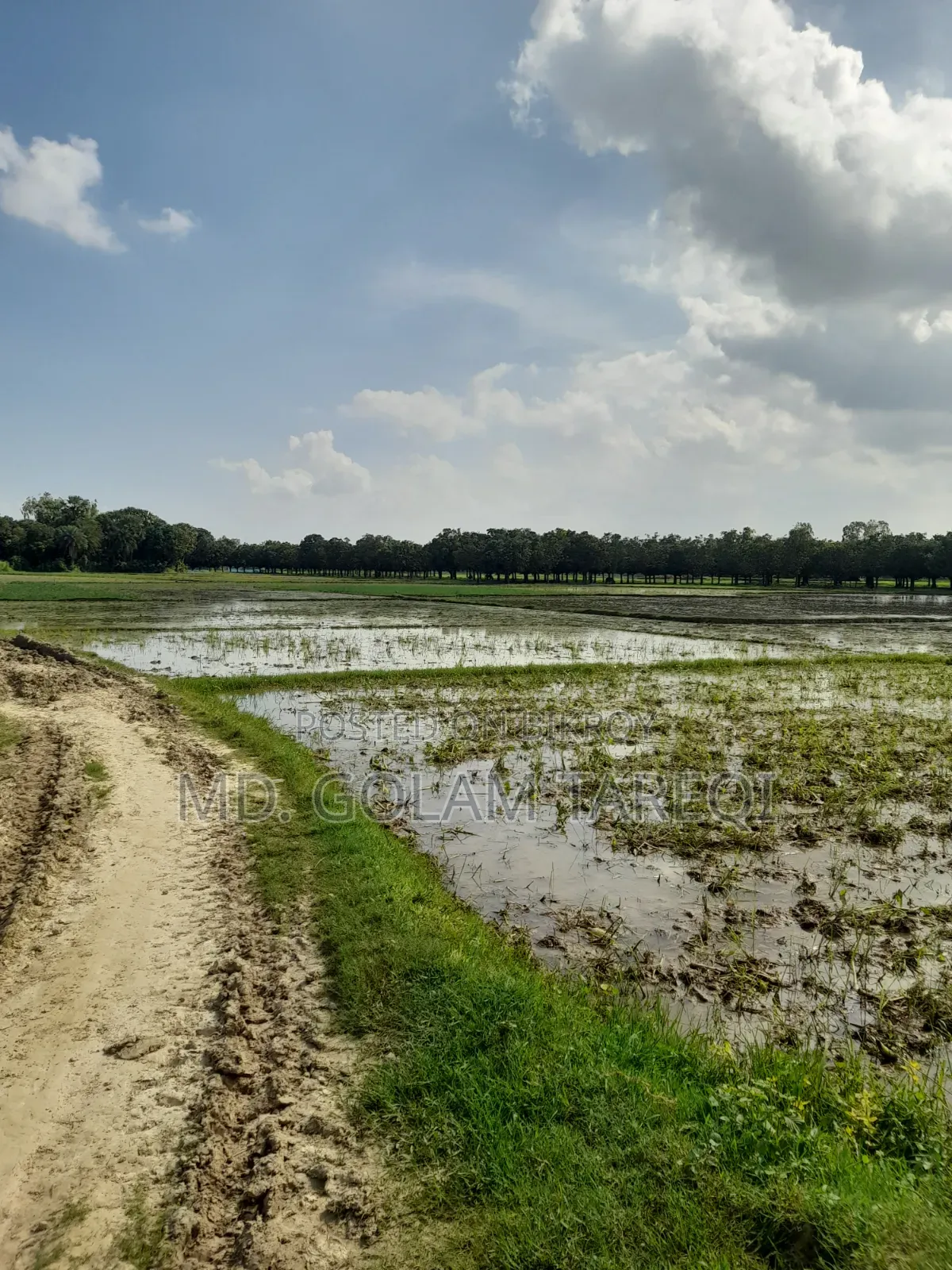 Land for Sale