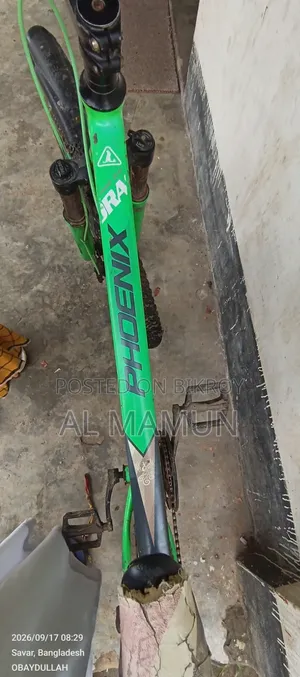 ফিনিক্স সাইকেল