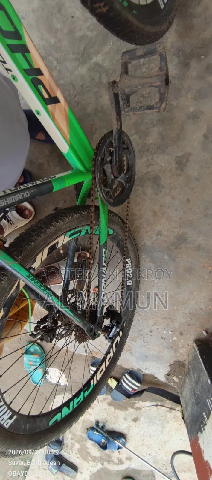 ফিনিক্স সাইকেল