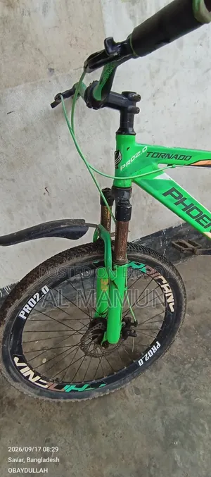 ফিনিক্স সাইকেল