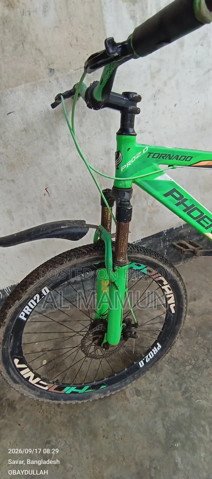 ফিনিক্স সাইকেল