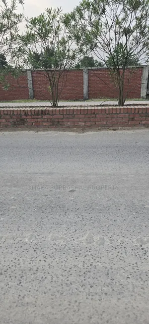 Sector -17/D, Road -2/a Corner Plot for Sale