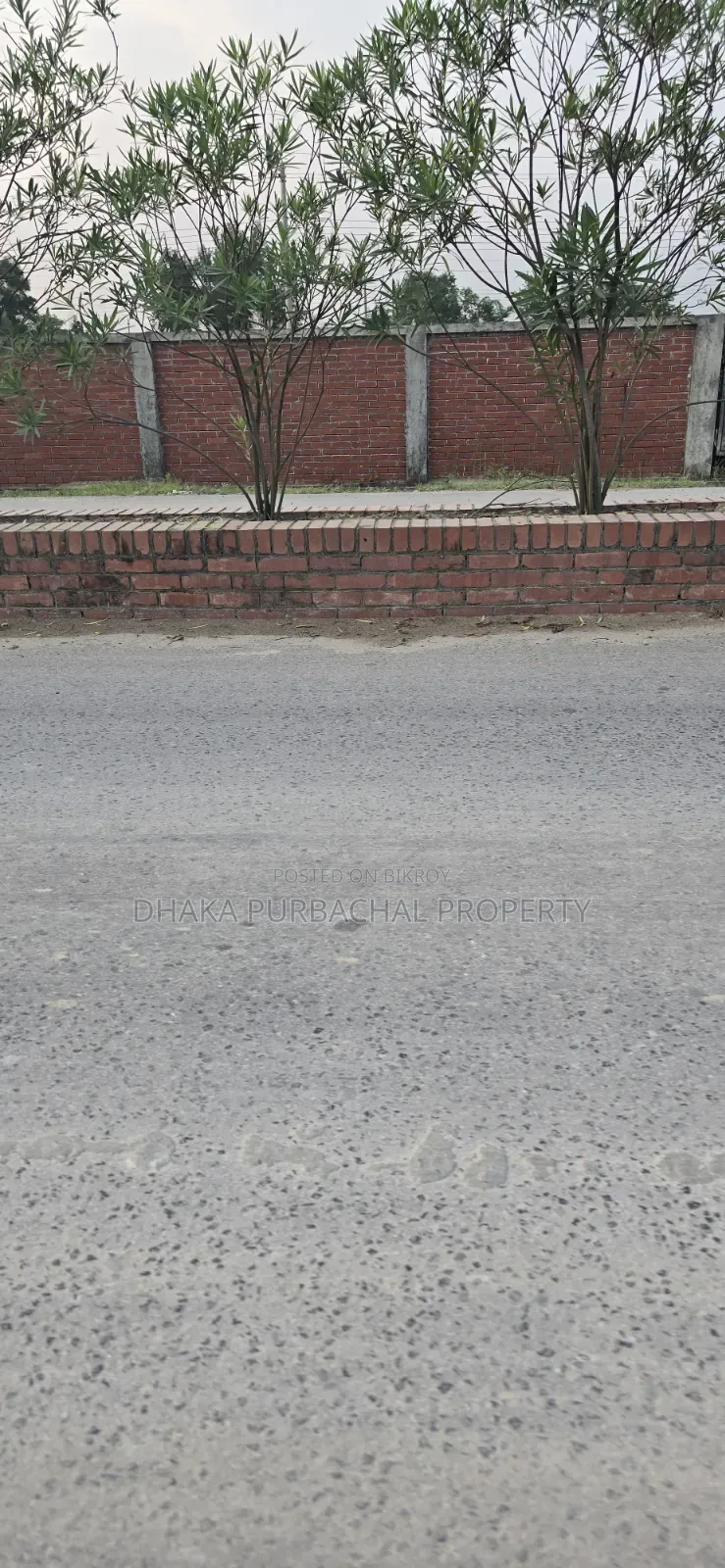Sector -17/D, Road -2/a Corner Plot for Sale