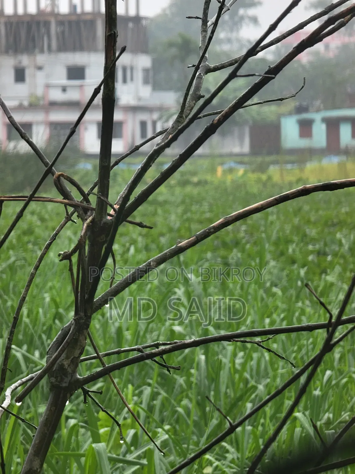 স্যামসাং গ্যালাক্সি এস২১ আল্ট্রা ৫জি ১২৮ জিবি ব্ল্যাক