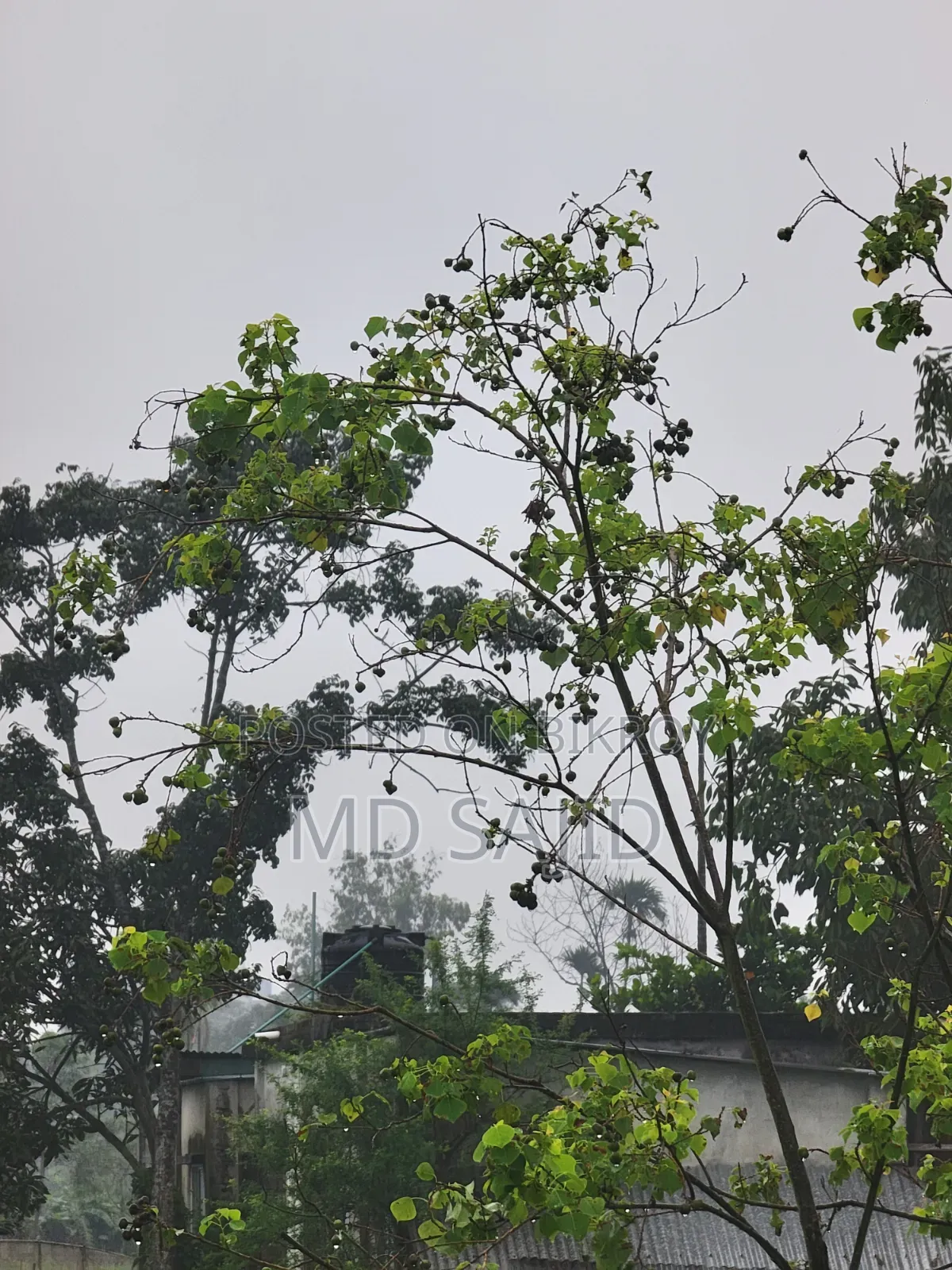 স্যামসাং গ্যালাক্সি এস২১ আল্ট্রা ৫জি ১২৮ জিবি ব্ল্যাক