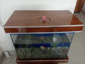 গ্লাস অ্যাকোরিয়াম