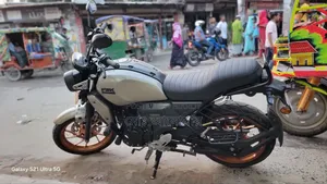 ইয়ামাহা এফজেড-এক্স ২০২৫ গ্রে
