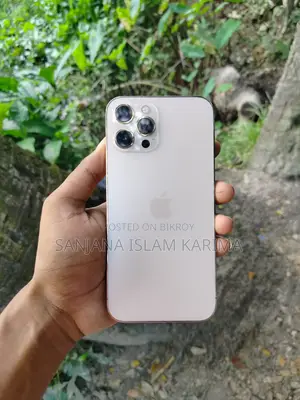 Apple iPhone 12 Pro Max 128 GB Gold