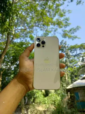 Apple iPhone 12 Pro Max 128 GB Gold