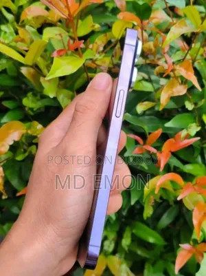 অ্যাপল আইফোন ১৪ প্রো ম্যাক্স ২৫৬ জিবি পার্পল