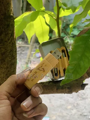 64GB Unique Wooden Design Pendrive