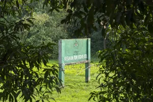 পূর্বাচল সংলগ্নে আপনার স্বপ্নের প্লট! প্রতি কাঠা মাত্র ৭ লাখ টাকা।