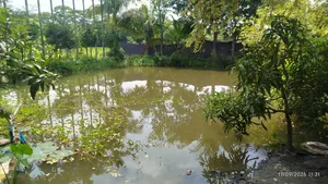 Furnished 2-Bedroom Farm House in Farm, Agailjhara for rent
