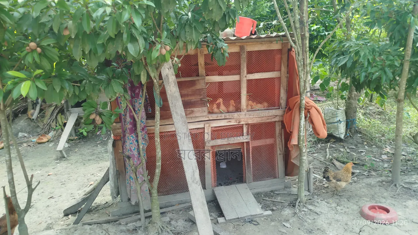 Furnished 2-Bedroom Farm House in Farm, Agailjhara for rent
