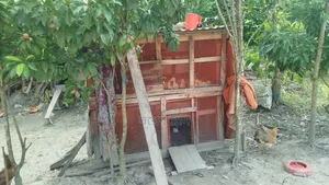 Furnished 2-Bedroom Farm House in Farm, Agailjhara for rent