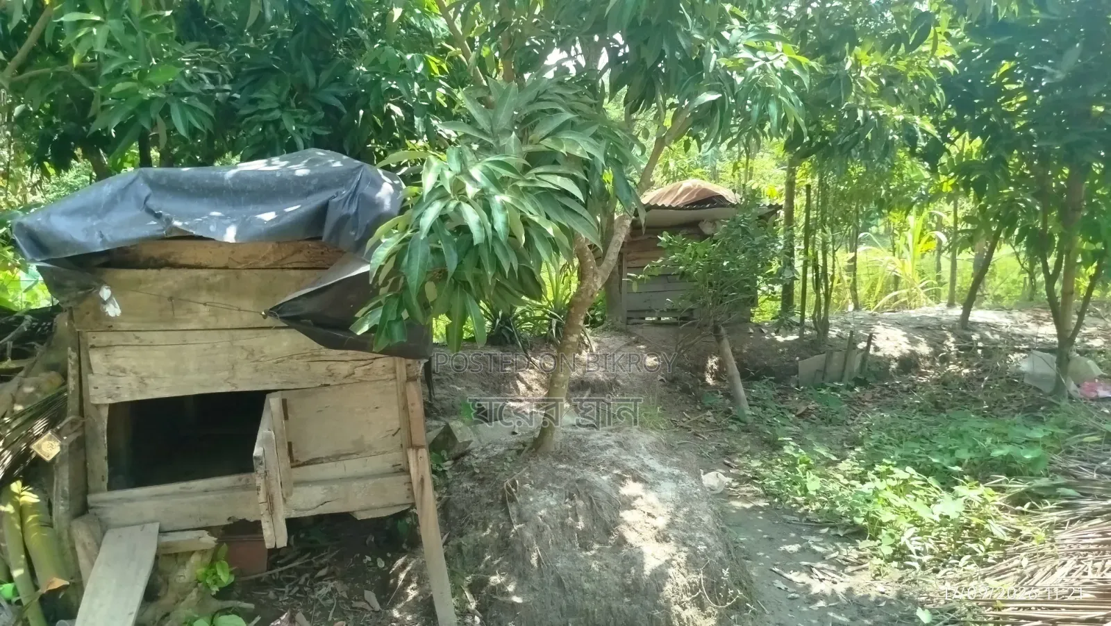 Furnished 2-Bedroom Farm House in Farm, Agailjhara for rent