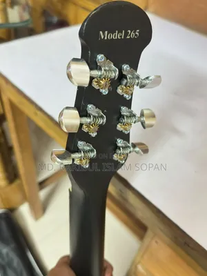 Original Signature Brand Guitar, Fresh Condition, Bought 2 Months Ago.
