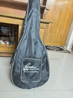 Original Signature Brand Guitar, Fresh Condition, Bought 2 Months Ago.