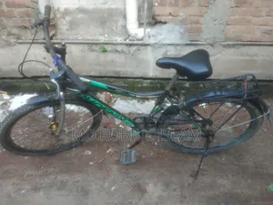 Used Cycle (Phoenix Cycle)