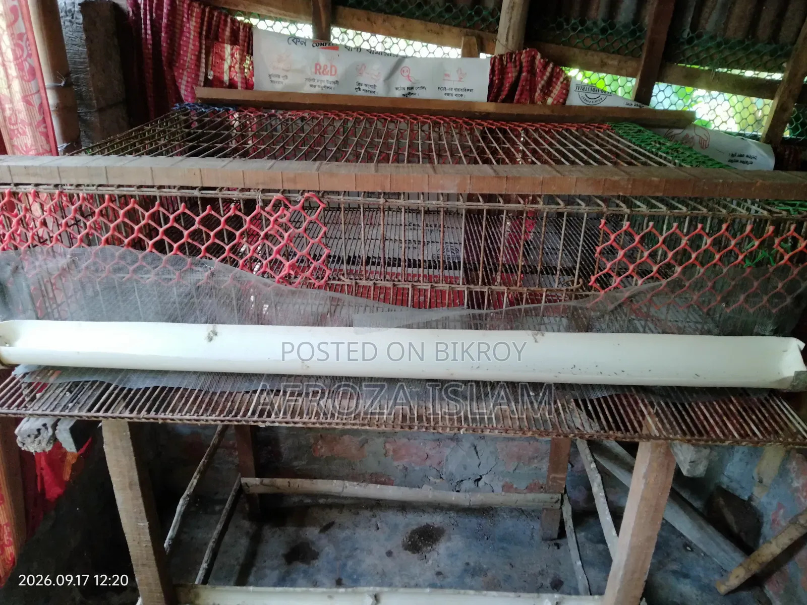 কোয়েল পাখির খাঁচা