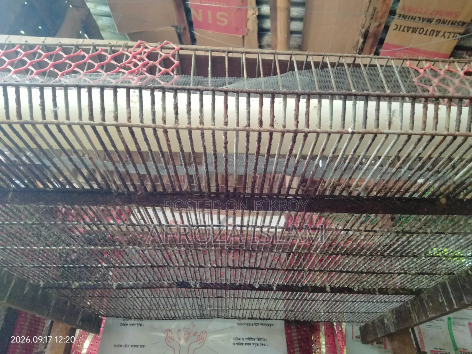 কোয়েল পাখির খাঁচা