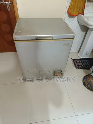A Compact, Silver-Colored Rangs Chest Freezer (Deep Fridge)