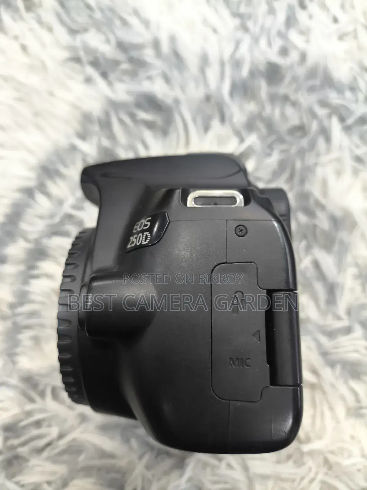 Canon 250D Only Body