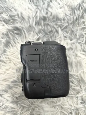 ক্যানন ২৫০ডি অনলি বডি