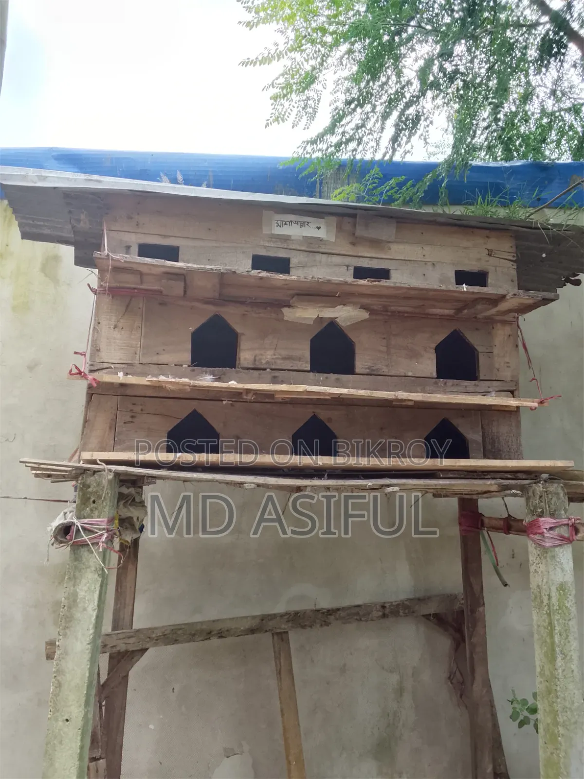 কবুতরের টং