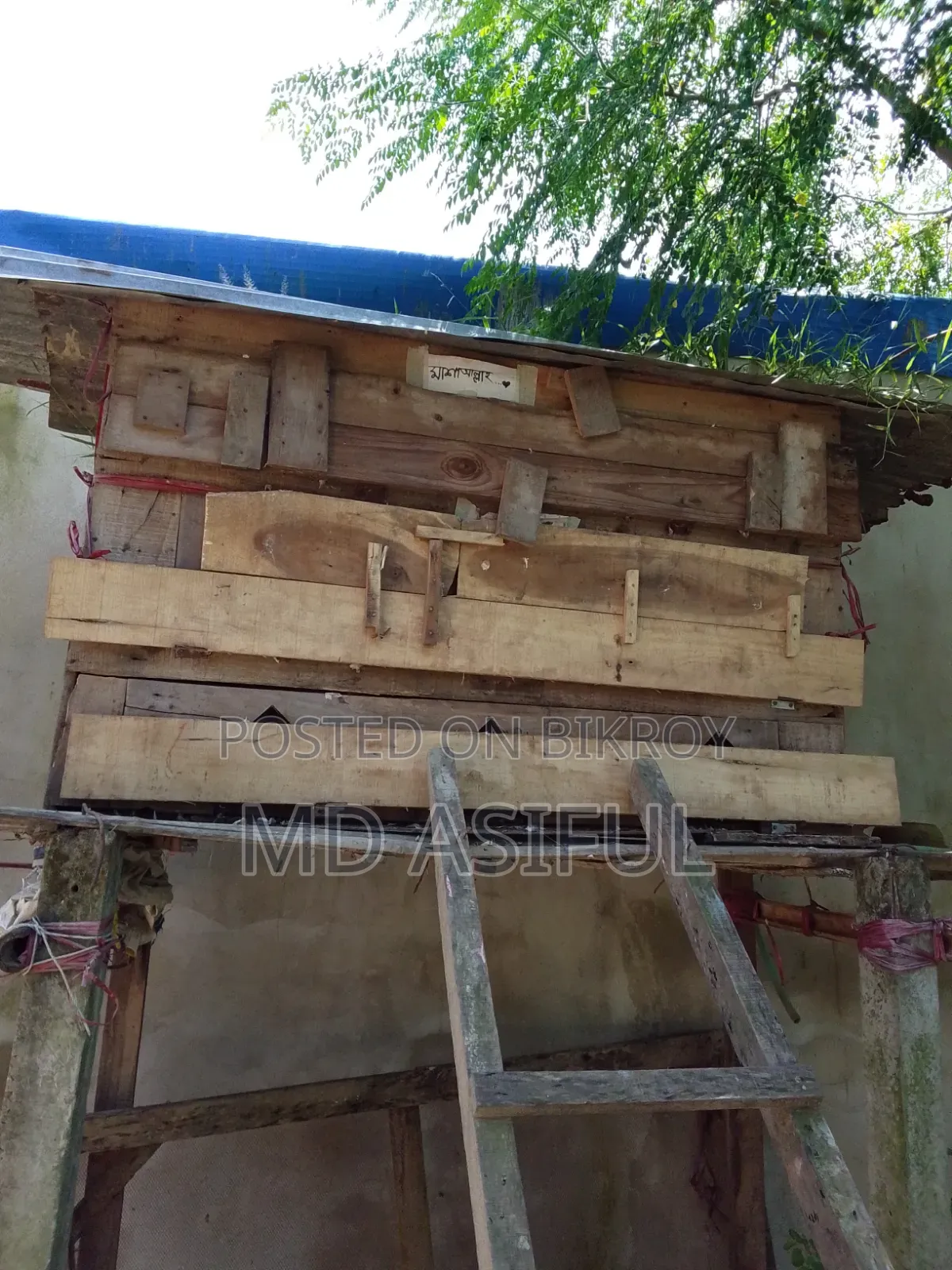 কবুতরের টং
