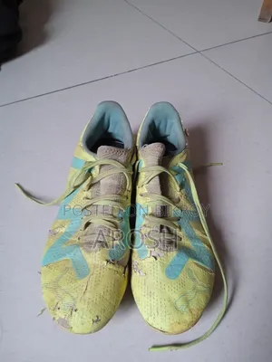 Puma Future Play Fg/Ag Green Color