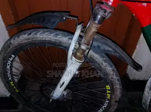 24 Volt 250 Watt Hub Motor Bicycle