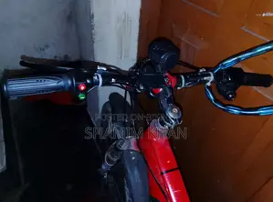 24 Volt 250 Watt Hub Motor Bicycle