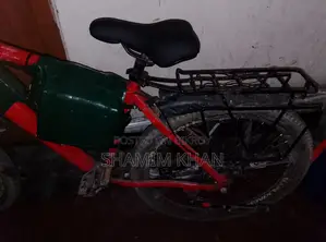 24 Volt 250 Watt Hub Motor Bicycle