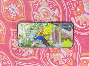 টেকনো স্পার্ক ৪০ প্রো ২৫৬ জিবি সিলভার
