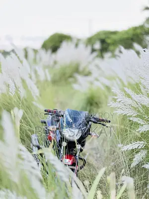 বাজাজ পালসার ১৫০ ২০১৬ লাল