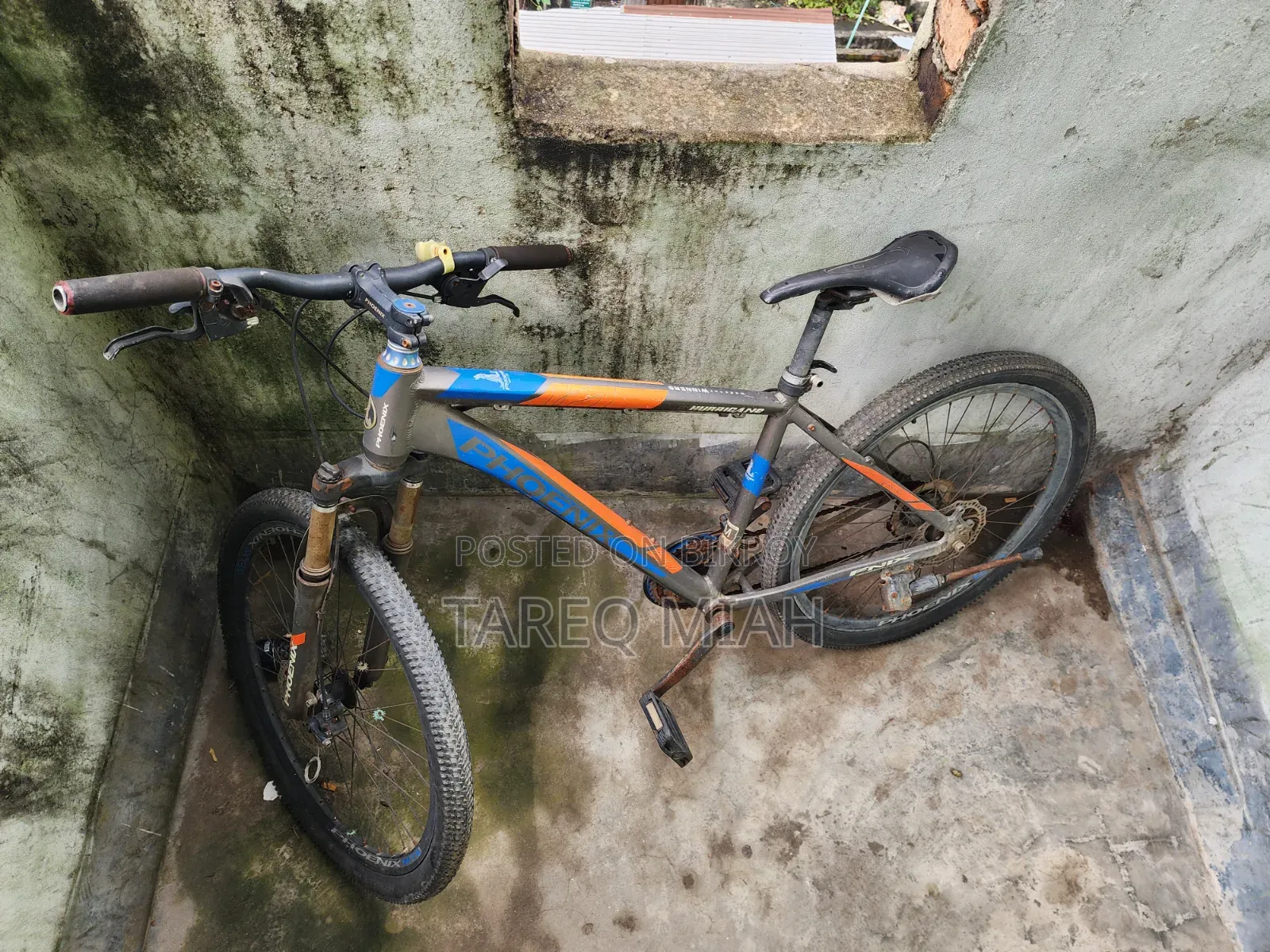 ফিনিক্স মাউন্টেন বাইক বিক্রয়ের জন্য