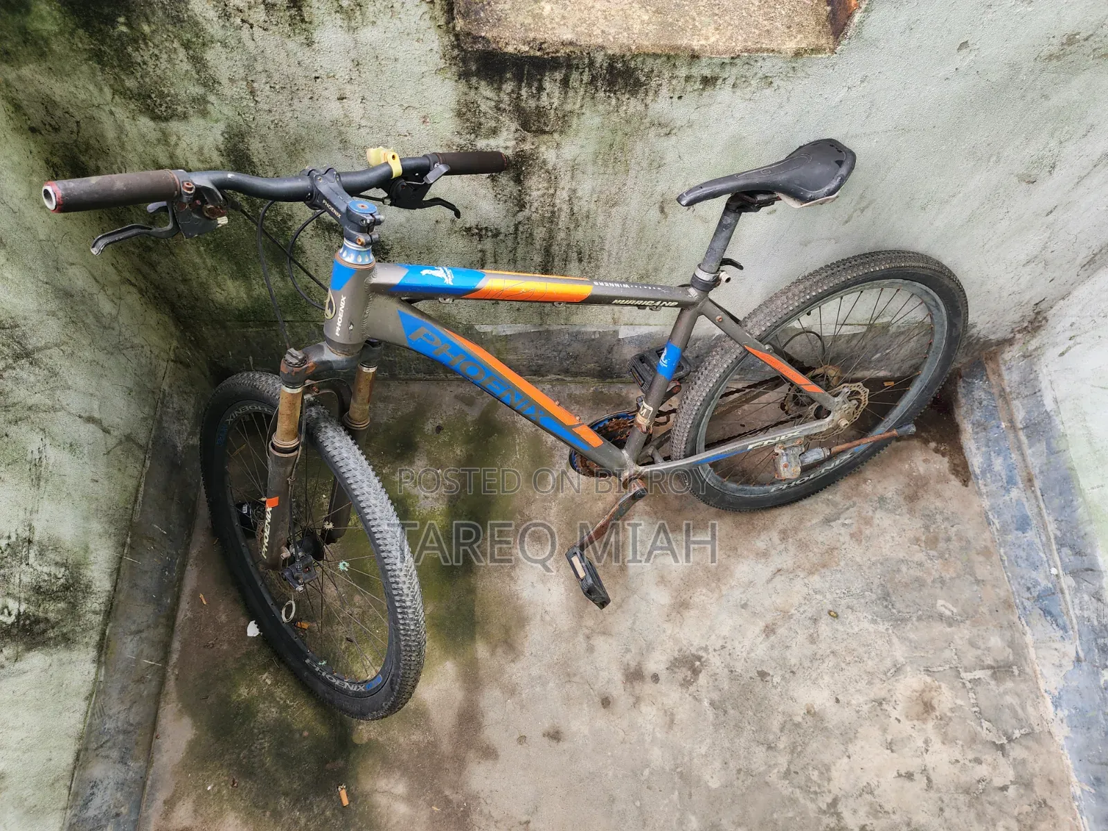 ফিনিক্স মাউন্টেন বাইক বিক্রয়ের জন্য