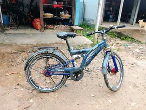মাস্টার ২৪ ইঞ্চি ফুল সার্ভিসড সাইকেল - অফিস ও প্রতিদিনের রাইডের জন্য পারফেক্ট |