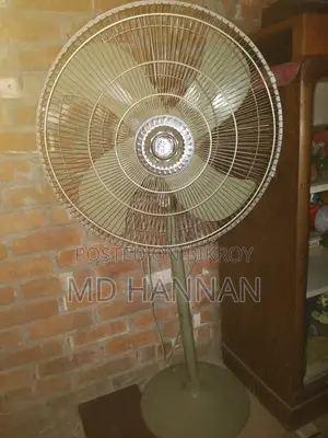 Pakistani Stand Fan