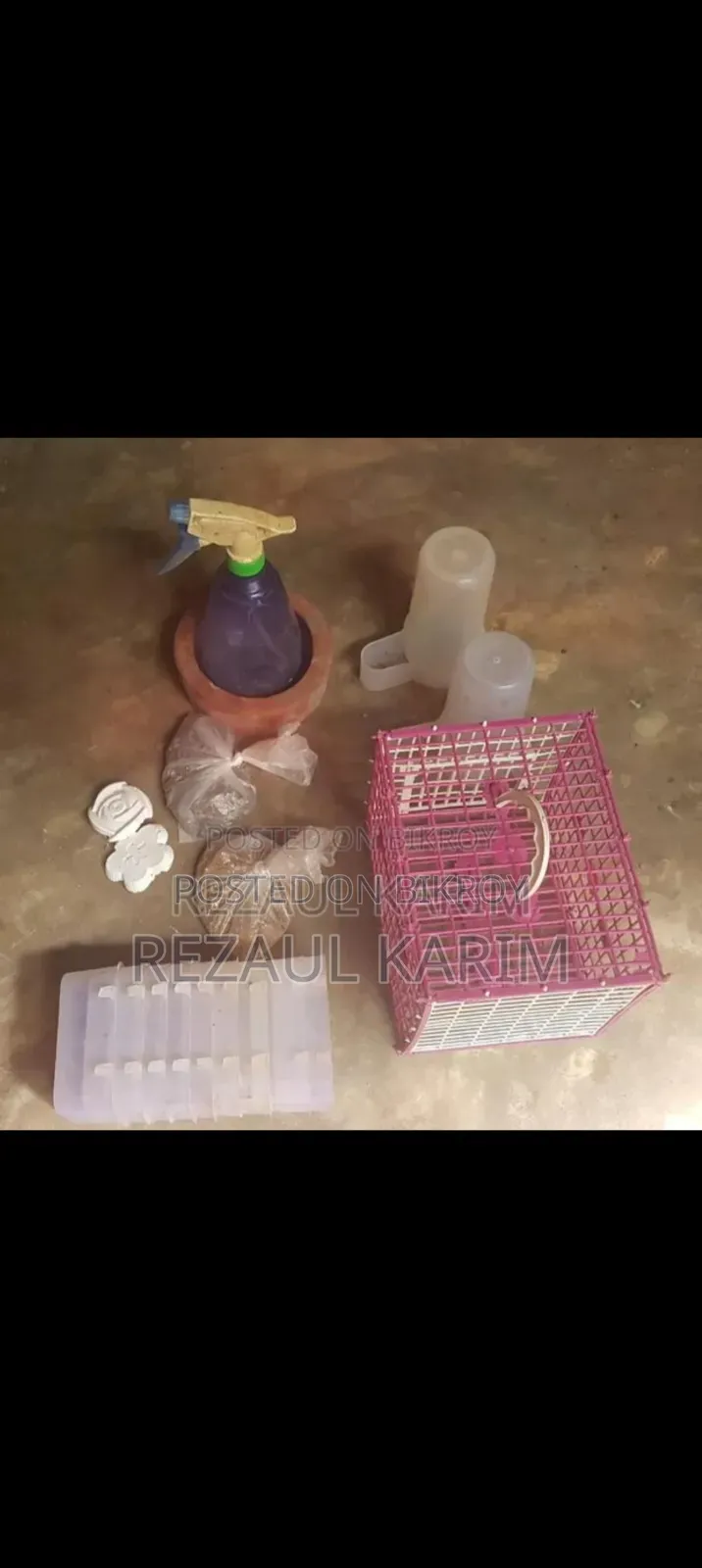 Bird Food and Accessories