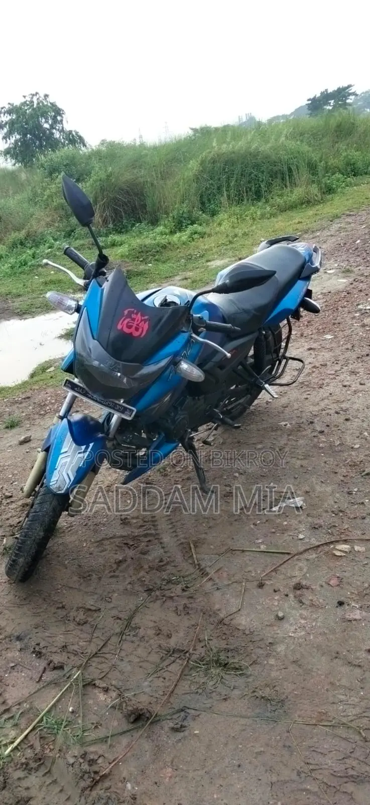 TVS Apache RTR 160 2V 2017 Blue