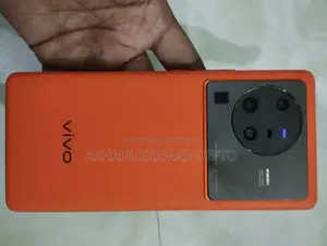 ভিভো এক্স৮০ প্রো ৫১২ জিবি কমলা