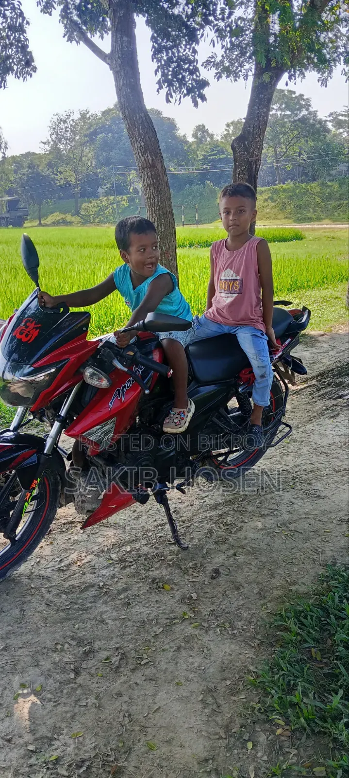 TVS Apache RTR 160 2V 2013 Red