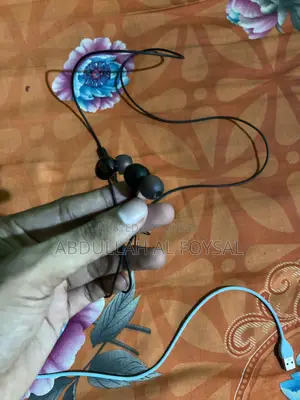 Type C Headphone
