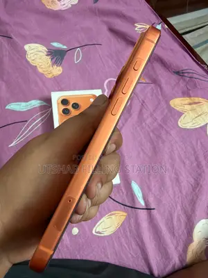 অ্যাপল আইফোন ১৭ প্রো ম্যাক্স ২৫৬ জিবি অরেঞ্জ