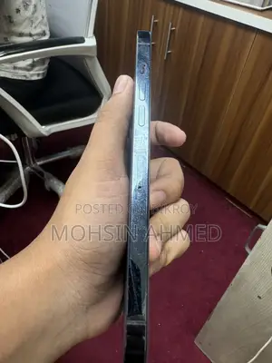 অ্যাপল আইফোন ১২ প্রো ম্যাক্স ২৫৬ জিবি নীল