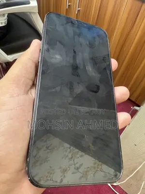 অ্যাপল আইফোন ১২ প্রো ম্যাক্স ২৫৬ জিবি নীল
